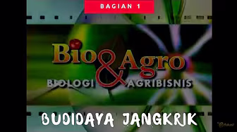 Cultivation of Crickets 1 | Bio Agro