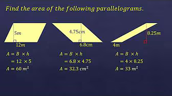 Area of Triangle, Parallelogram, and Trapezoid