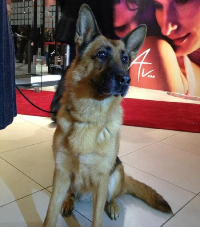 actor Jackie large photo