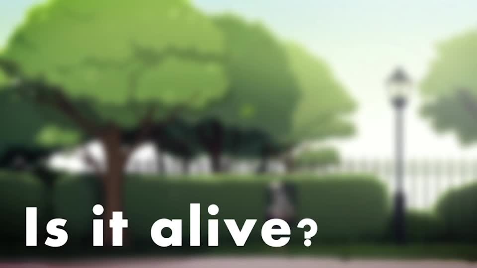 S3E1: Dead, Living, and Non-Living