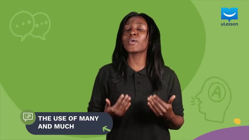 Vocabulary Development - Quantifiers I - 2 - The Use of 'Many' & 'Much' background