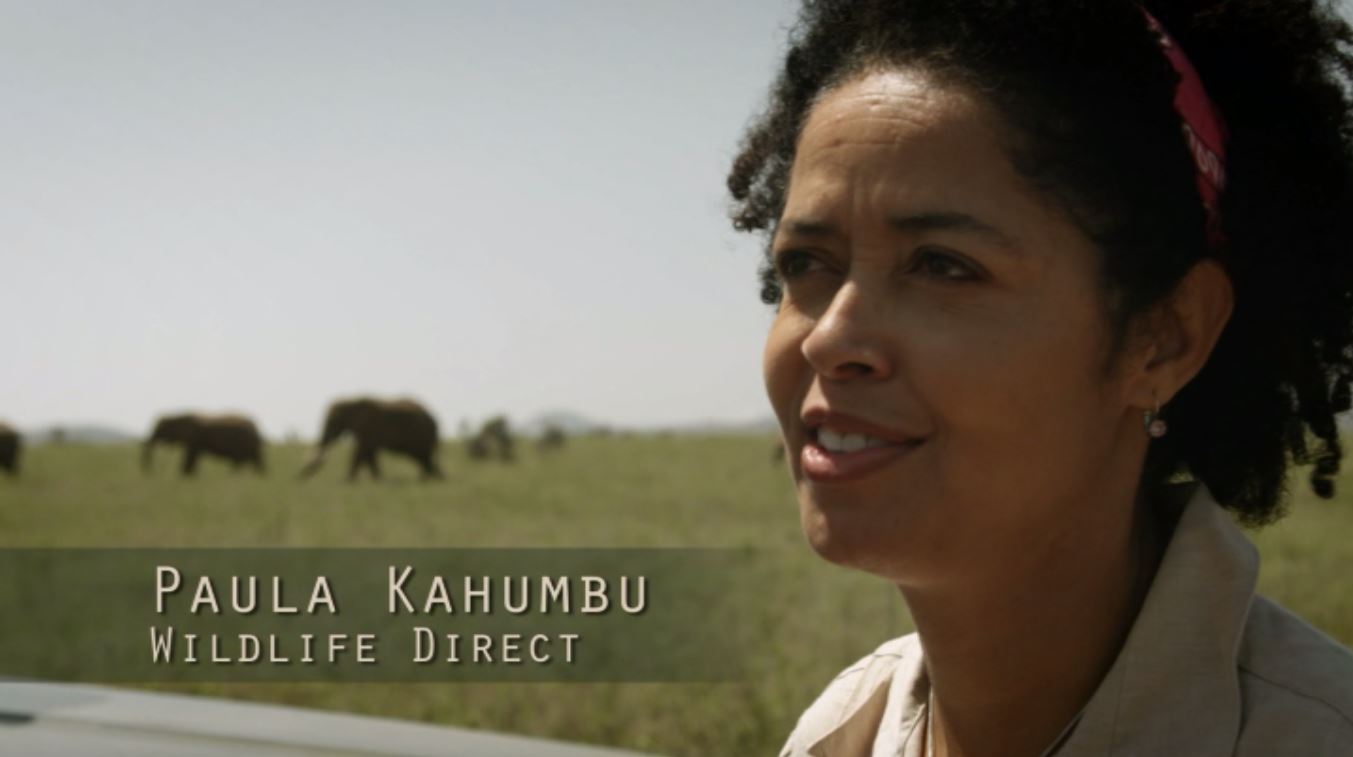 actor Paula Kahumbu large photo