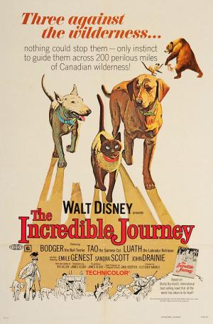 The Incredible Journey [Spanish]