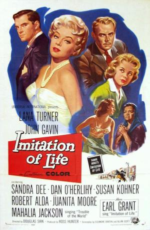 Imitation of Life [Spanish]