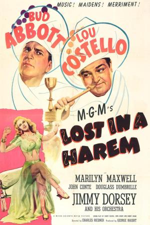 Lost in a Harem [Spanish]