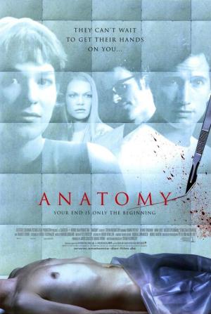 Anatomy [Spanish]