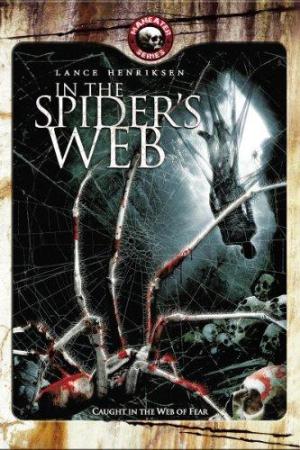 In the Spider's Web [Spanish]