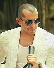 actor Ali Quli Mirza large photo