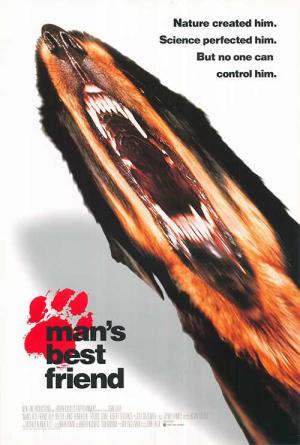 Man's Best Friend [Spanish]