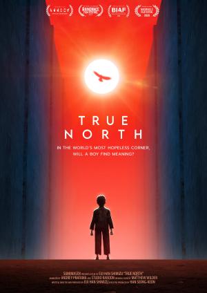 True North [Spanish]