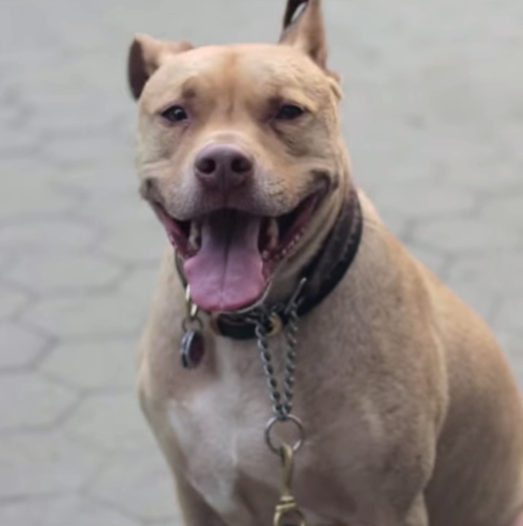 actor Leon large photo