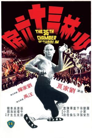 The 36th Chamber of Shaolin [Spanish]