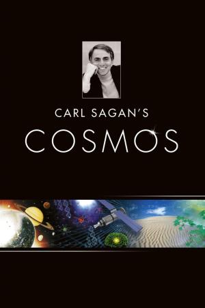 Cosmos [Spanish]