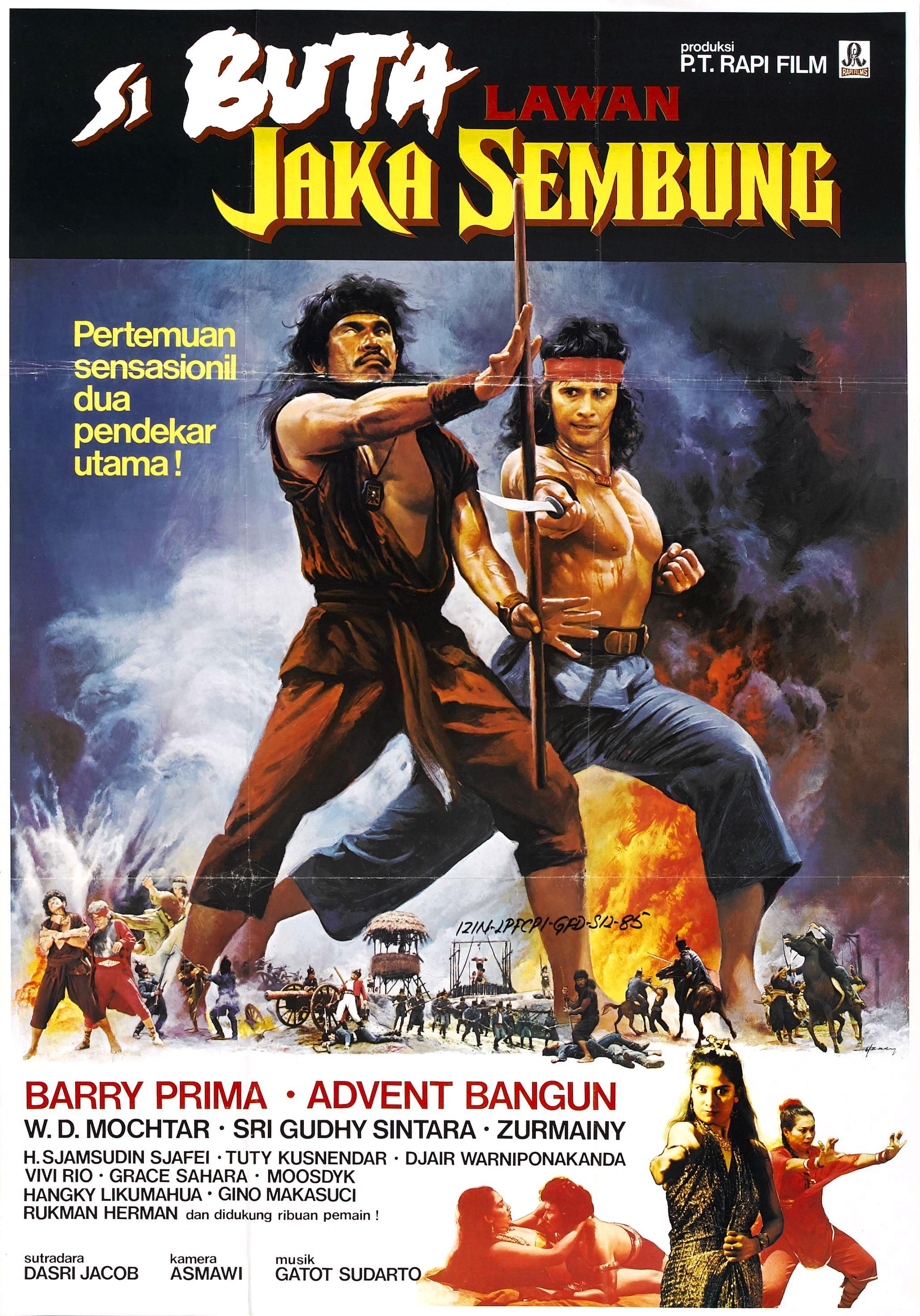 The Warrior and the Blind Swordsman poster
