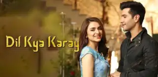 Dil Kya Karay