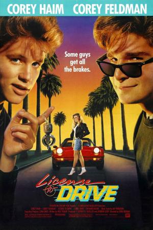 License to Drive [Spanish]
