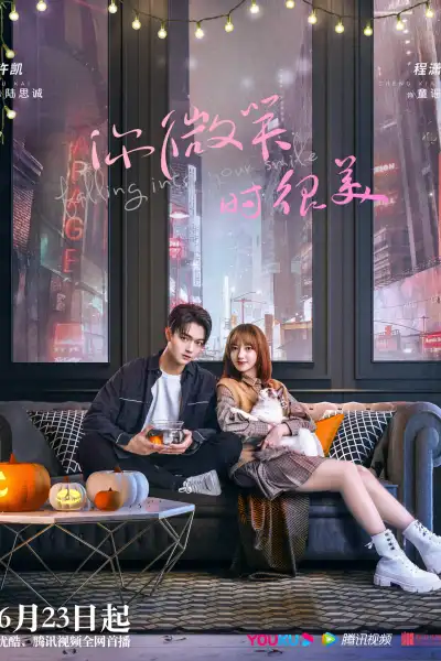 Falling Into Your Smile poster