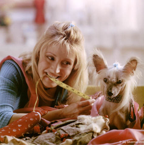 Barb Dunn