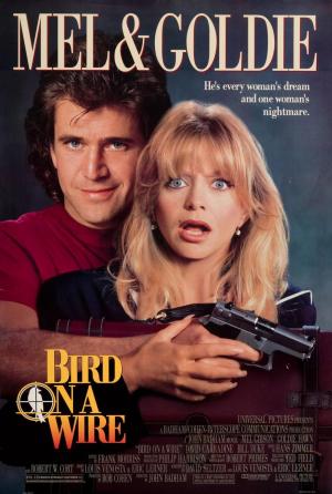 Bird on a Wire [Spanish]