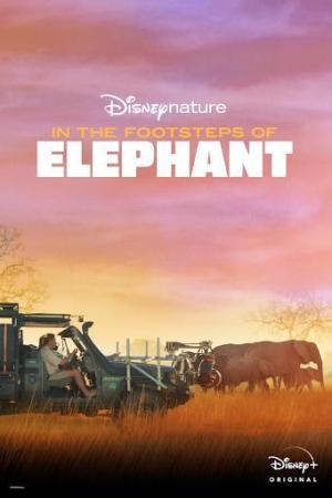 In the Footsteps of Elephant [Spanish]