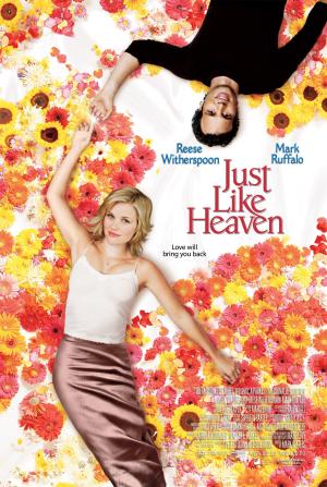 Just Like Heaven [Spanish]
