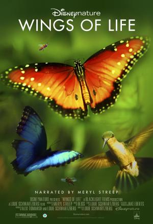 Wings of Life [Spanish]