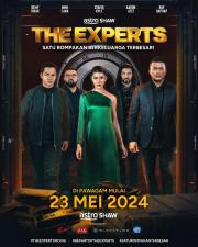 The Experts