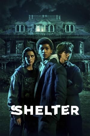 Harlan Coben's Shelter [Spanish]