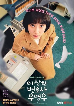 Extraordinary Attorney Woo [Spanish]
