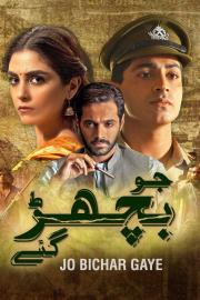 Jo Bichar Gaye