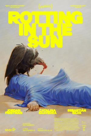 Rotting in the Sun [Spanish]