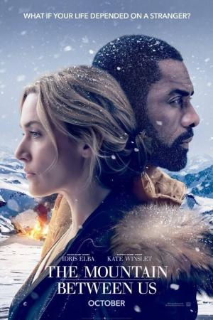The Mountain Between Us - 123Movies