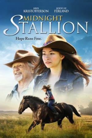 Midnight Stallion [Russian]