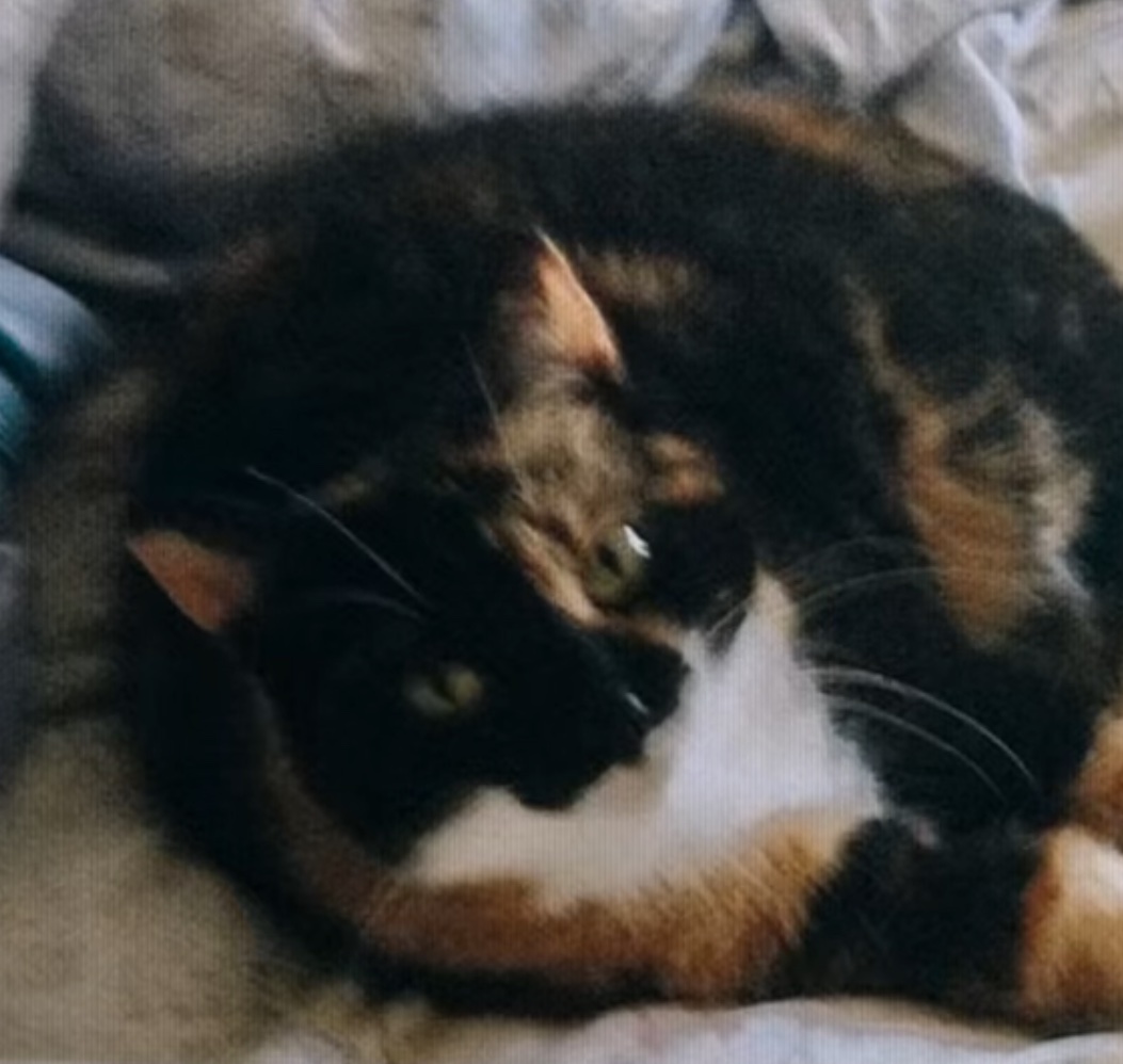 Abigail