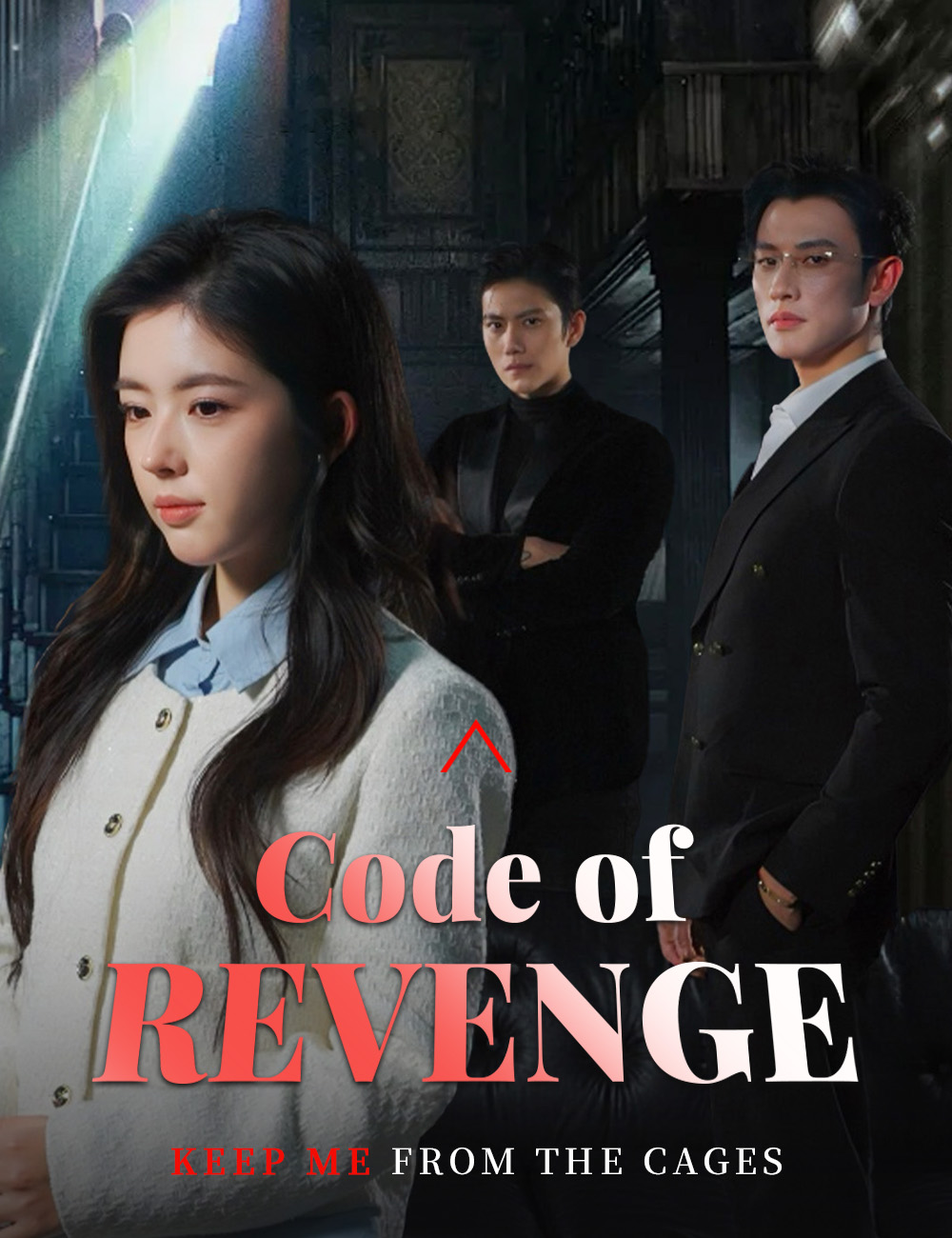 Code of Revenge​​ poster