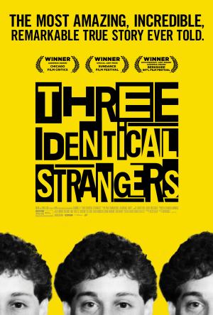 Three Identical Strangers [SpanishLatam]