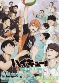 Haikyuu!! The Movie 2: The Winner and the Loser [English]