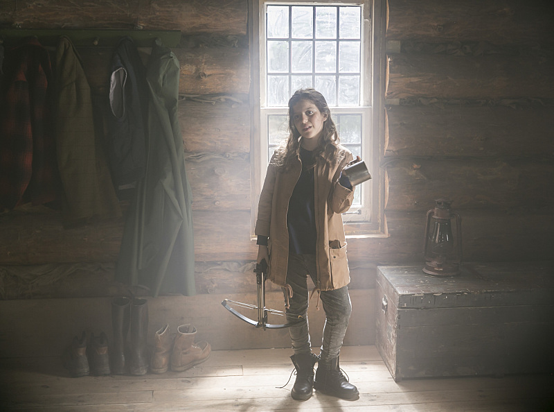 actor Aviv Cohen large photo