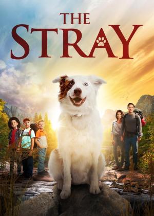 The Stray [SpanishLatam]