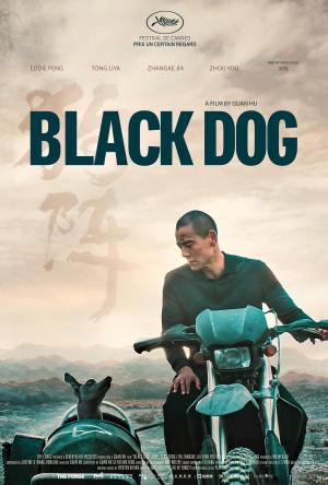Black Dog [Spanish]