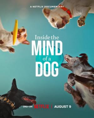 Inside the Mind of a Dog [Spanish]