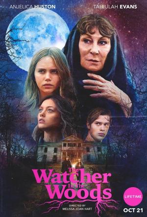 The Watcher in the Woods [Spanish]
