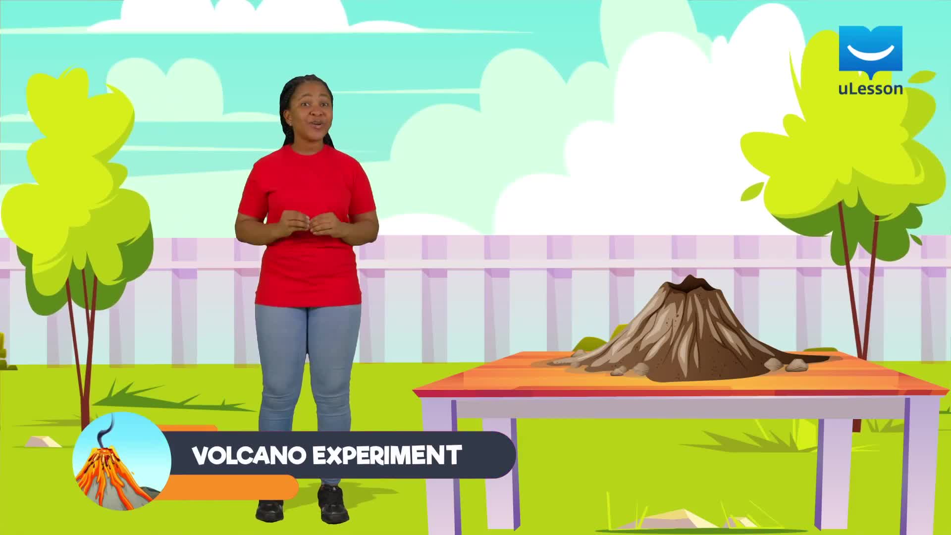 Volcano Experiment