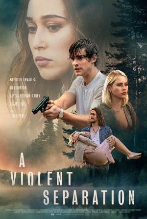 A Violent Separation [Spanish]
