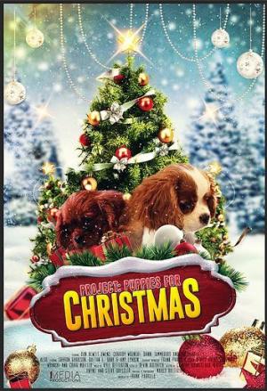Project: Puppies for Christmas [Spanish]