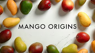 Cooking with Mangos