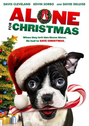 Alone for Christmas [Spanish]