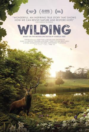 Wilding [Spanish]