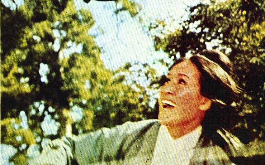 actor Lin Lin large photo