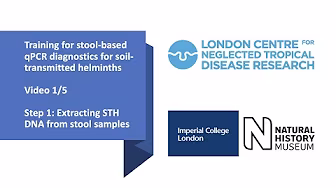 Training for stool-based qPCR diagnostics for soil-transmitted helminths developed by London Centre for Neglected Tropical Disease Research
